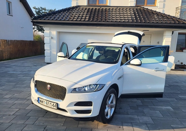 Jaguar F-Pace cena 169500 przebieg: 17500, rok produkcji 2020 z Wyszków małe 742